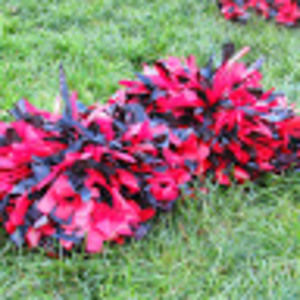 Meet your Posher, Grahe